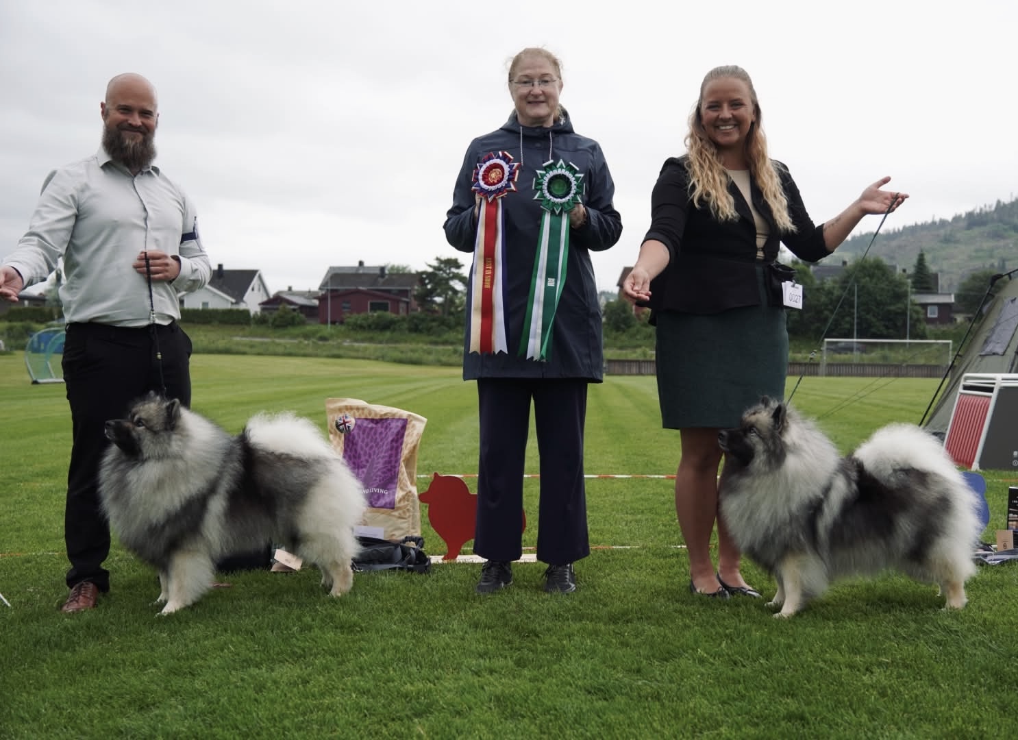Keeshond Spesialen, NO 2026
