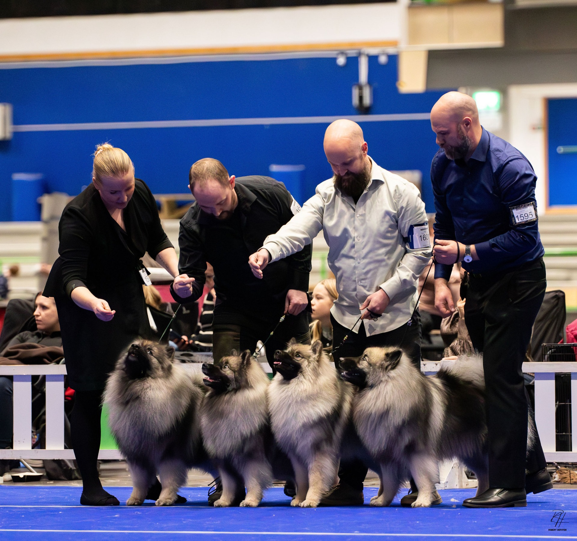 NKK Kristiansand 2026
