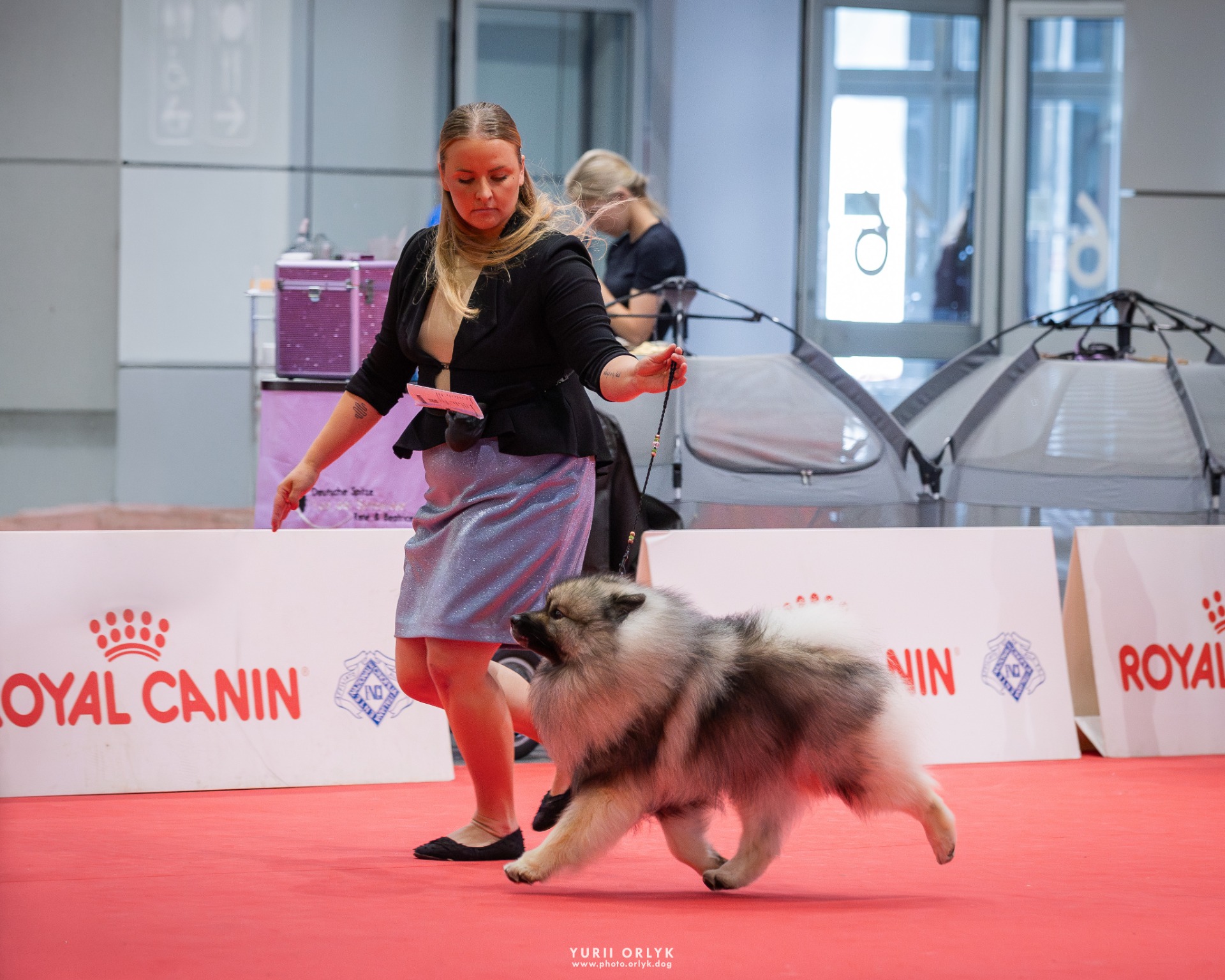 WDS Bologna, Italy - Day 2