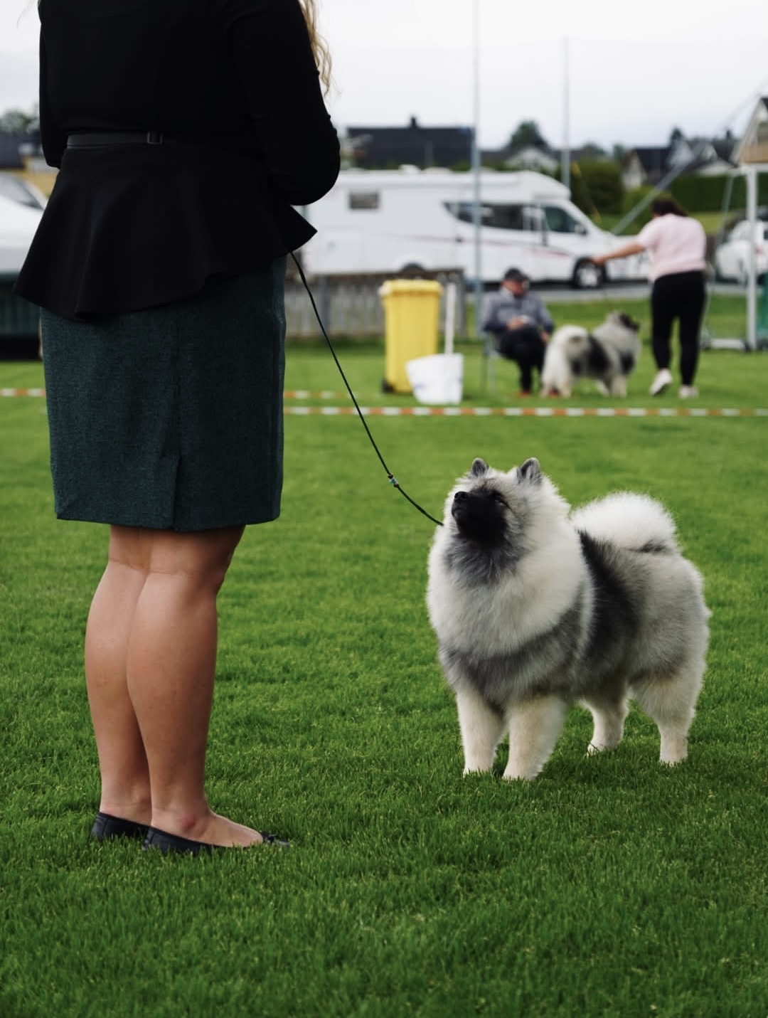 Keeshond Spesialen, NO 2026