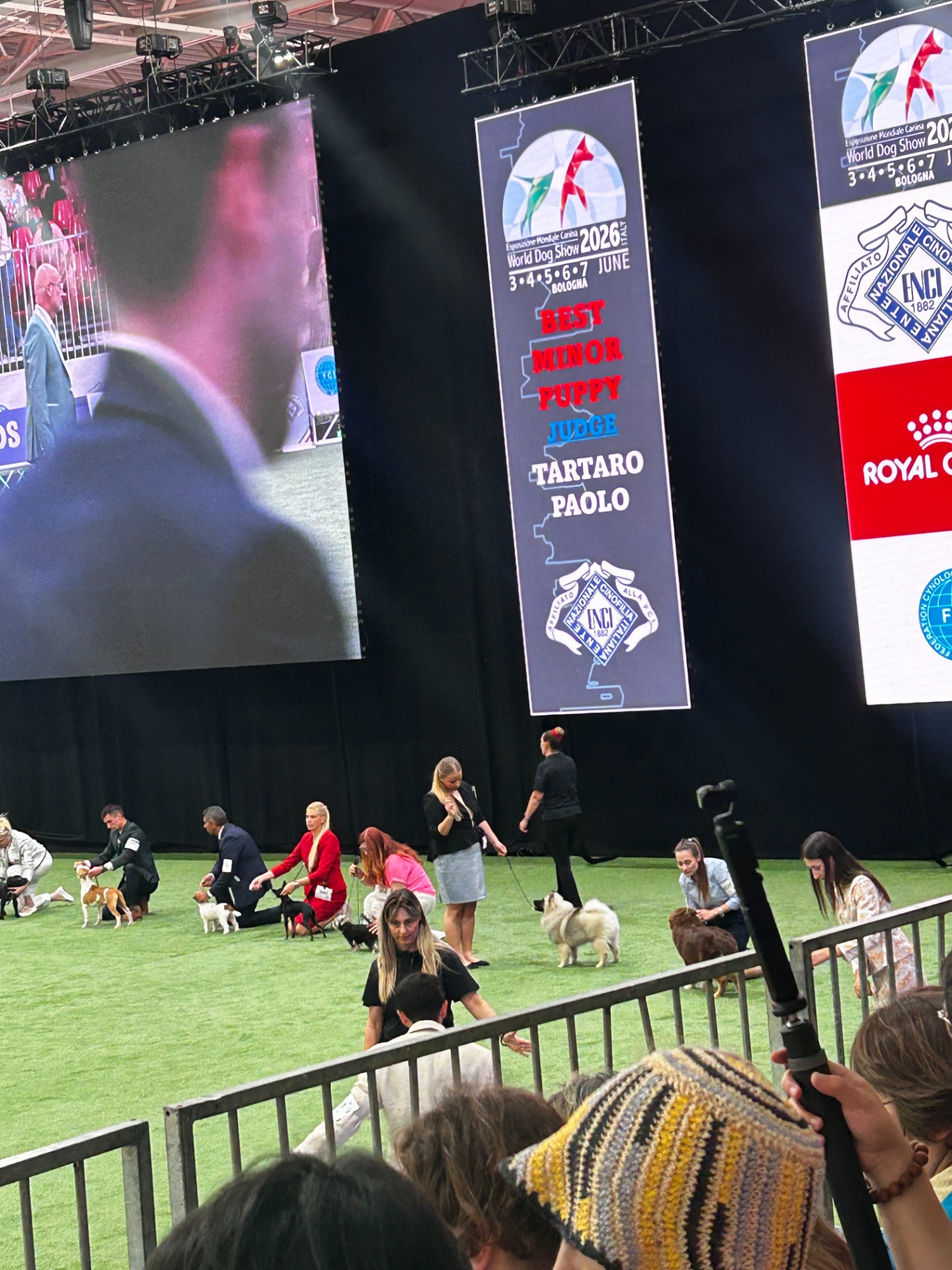 WDS Bologna, Italy - Day 2